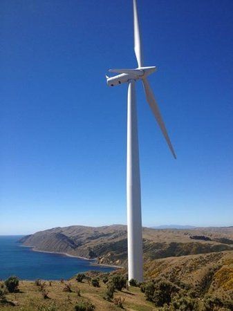 Wellington Wind Turbine